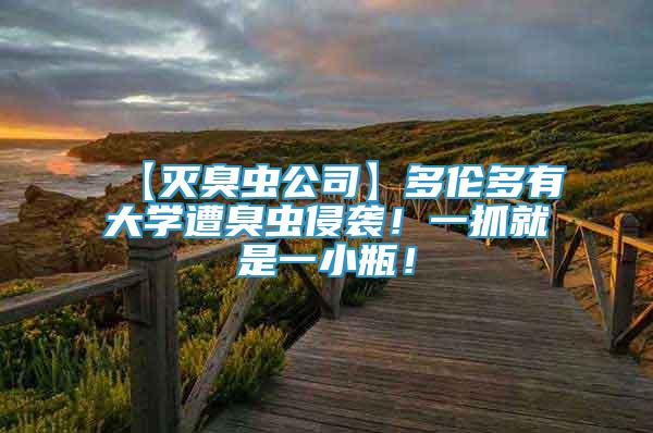 【滅臭蟲公司】多倫多有大學(xué)遭臭蟲侵襲！一抓就是一小瓶！