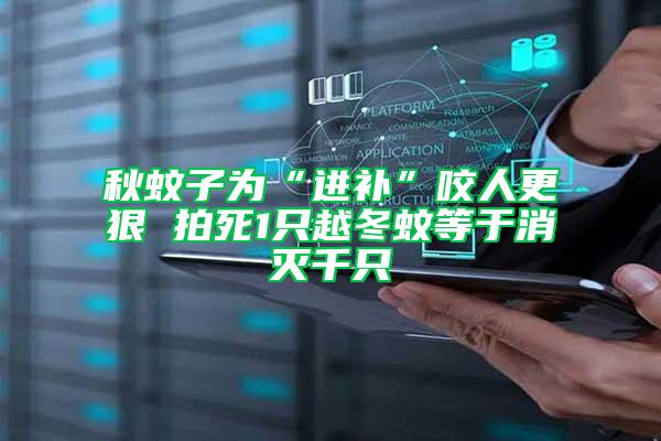 秋蚊子為“進(jìn)補(bǔ)”咬人更狠 拍死1只越冬蚊等于消滅千只