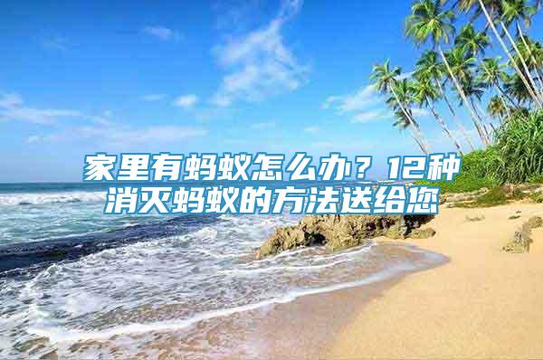 家里有螞蟻怎么辦？12種消滅螞蟻的方法送給您