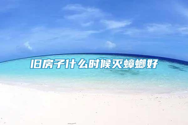 舊房子什么時候滅蟑螂好