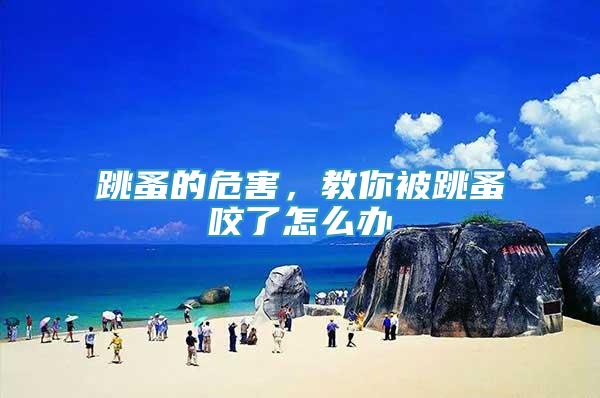跳蚤的危害，教你被跳蚤咬了怎么辦