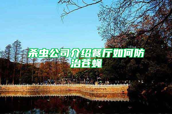 殺蟲(chóng)公司介紹餐廳如何防治蒼蠅