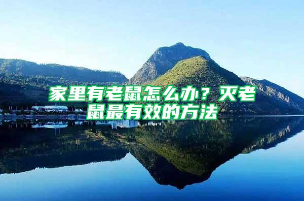 家里有老鼠怎么辦？滅老鼠最有效的方法