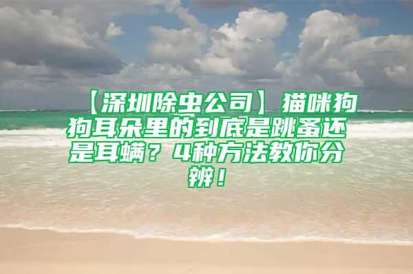 【深圳除蟲公司】貓咪狗狗耳朵里的到底是跳蚤還是耳螨？4種方法教你分辨！