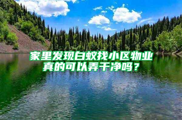 家里發(fā)現(xiàn)白蟻找小區(qū)物業(yè)真的可以弄干凈嗎？