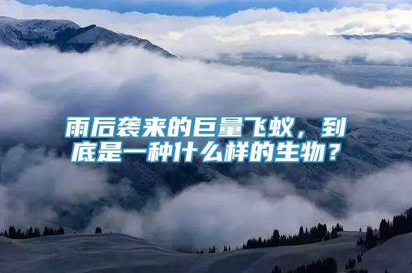 雨后襲來的巨量飛蟻，到底是一種什么樣的生物？