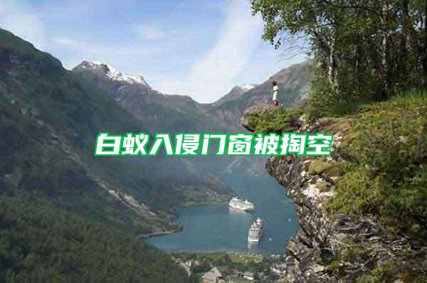 白蟻入侵門窗被掏空