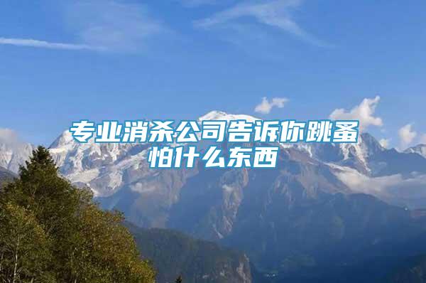 專業(yè)消殺公司告訴你跳蚤怕什么東西