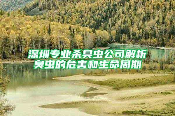 深圳專(zhuān)業(yè)殺臭蟲(chóng)公司解析臭蟲(chóng)的危害和生命周期