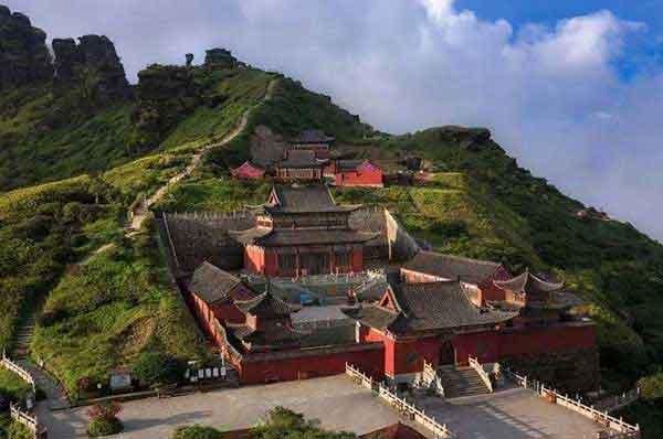 白蟻對地下電纜的危害