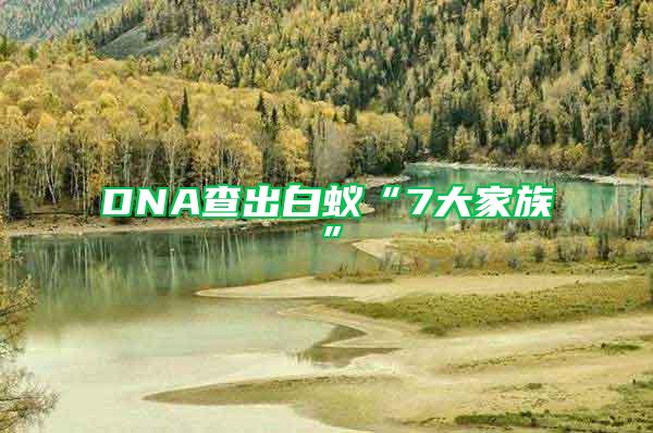 DNA查出白蟻“7大家族”