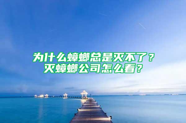 為什么蟑螂總是滅不了？滅蟑螂公司怎么看？