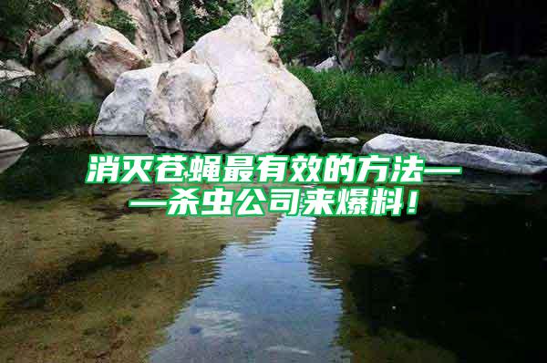消滅蒼蠅最有效的方法——?dú)⑾x公司來爆料！