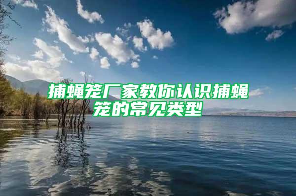捕蠅籠廠家教你認識捕蠅籠的常見類型
