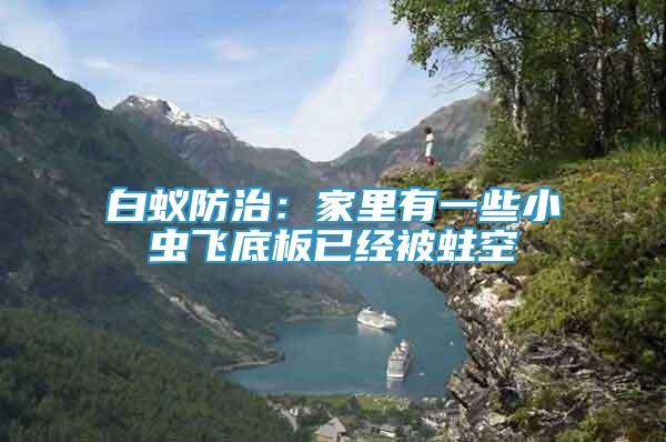 白蟻防治：家里有一些小蟲(chóng)飛底板已經(jīng)被蛀空