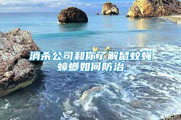 消殺公司和你了解鼠蚊蠅蟑螂如何防治