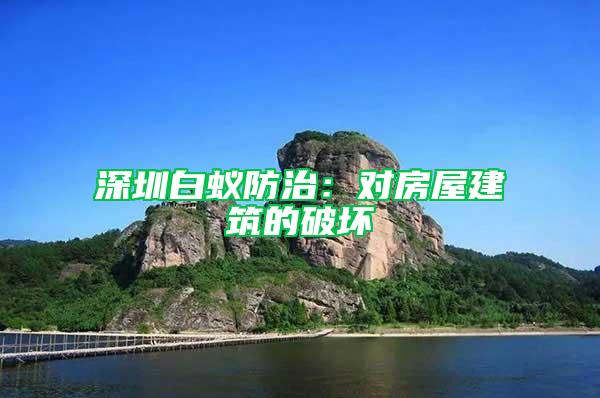 深圳白蟻防治：對房屋建筑的破壞