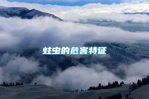 蛀蟲的危害特征