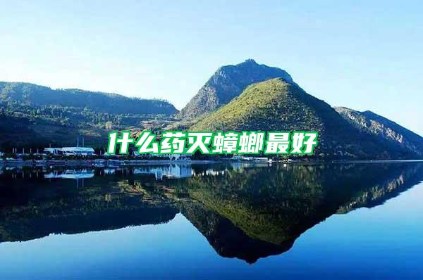 什么藥滅蟑螂最好