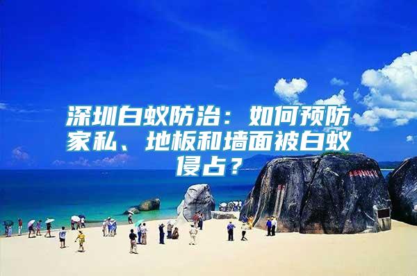 深圳白蟻防治：如何預(yù)防家私、地板和墻面被白蟻侵占？