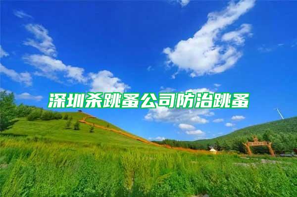 深圳殺跳蚤公司防治跳蚤