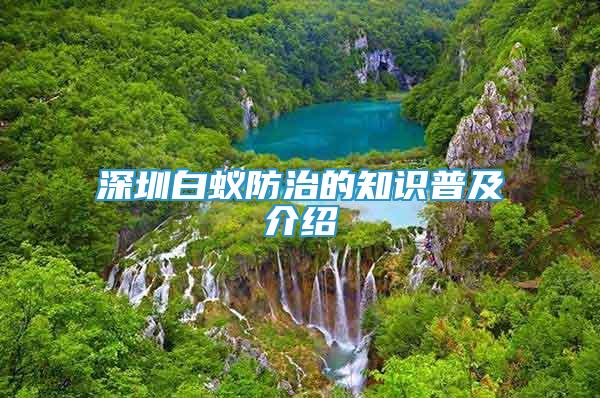 深圳白蟻防治的知識(shí)普及介紹