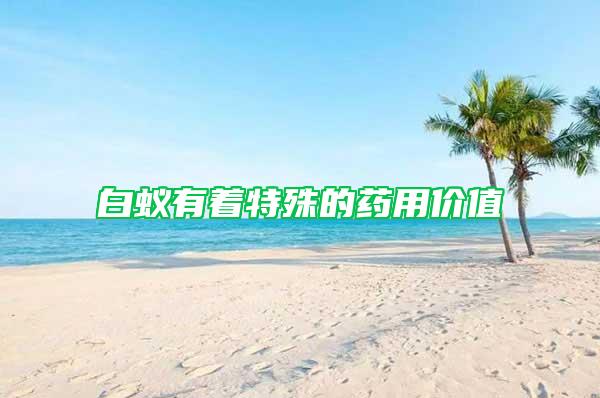 白蟻有著特殊的藥用價(jià)值