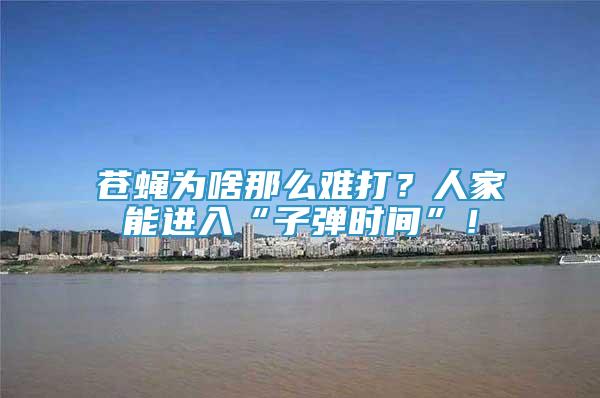 蒼蠅為啥那么難打？人家能進(jìn)入“子彈時(shí)間”！