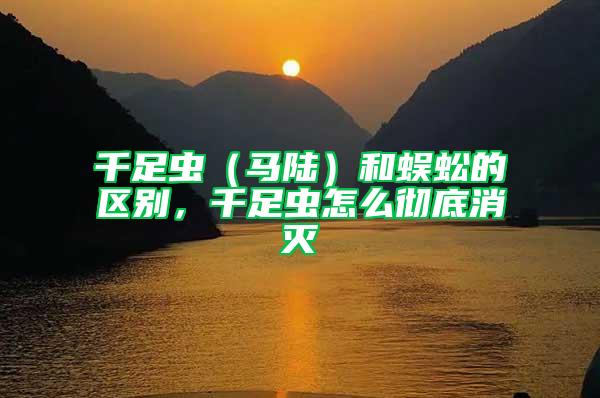 千足蟲（馬陸）和蜈蚣的區(qū)別，千足蟲怎么徹底消滅