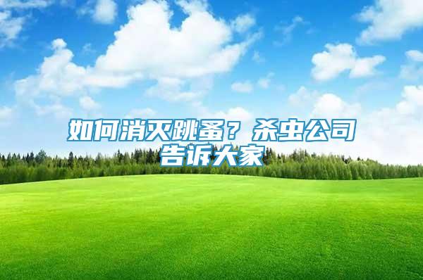 如何消滅跳蚤？殺蟲公司告訴大家
