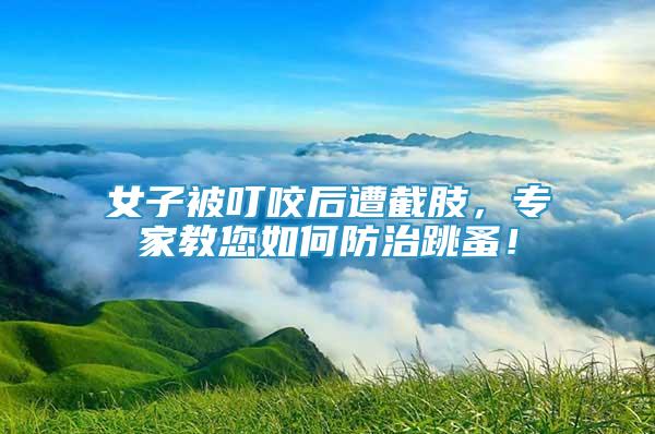 女子被叮咬后遭截肢，專家教您如何防治跳蚤！