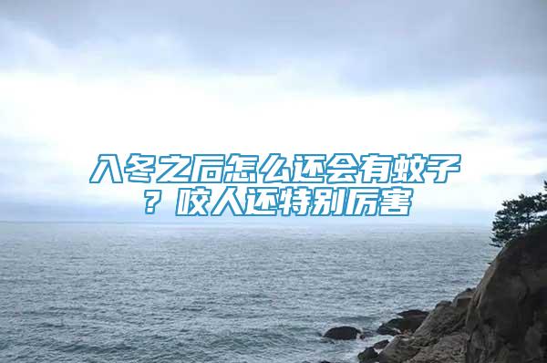 入冬之后怎么還會有蚊子？咬人還特別厲害