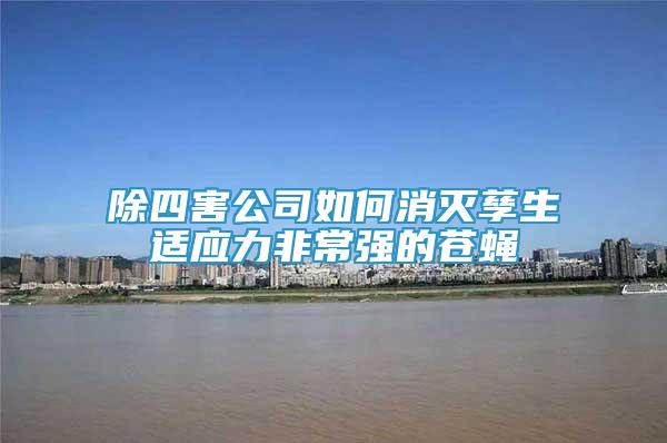 除四害公司如何消滅孳生適應力非常強的蒼蠅
