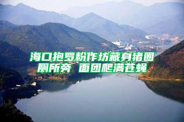 ?？诒Я_粉作坊藏身豬圈廁所旁 面團(tuán)爬滿(mǎn)蒼蠅