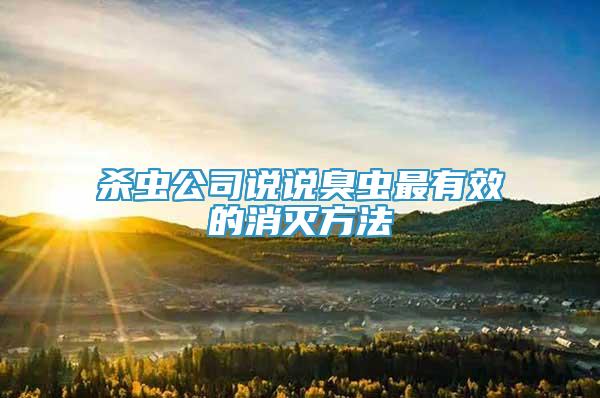 殺蟲公司說說臭蟲最有效的消滅方法