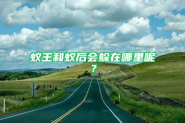 蟻王和蟻后會(huì)躲在哪里呢？