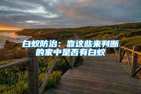 白蟻防治：靠這些來判斷的家中是否有白蟻