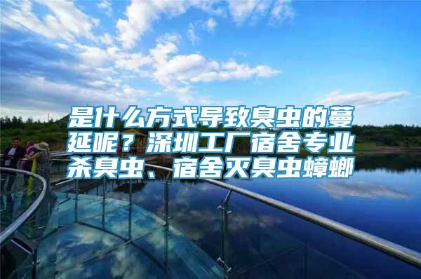 是什么方式導(dǎo)致臭蟲的蔓延呢？深圳工廠宿舍專業(yè)殺臭蟲、宿舍滅臭蟲蟑螂