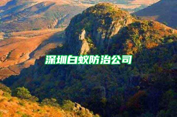 深圳白蟻防治公司