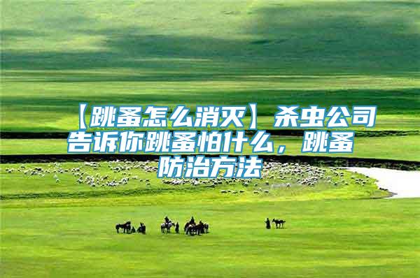 【跳蚤怎么消滅】殺蟲公司告訴你跳蚤怕什么，跳蚤防治方法