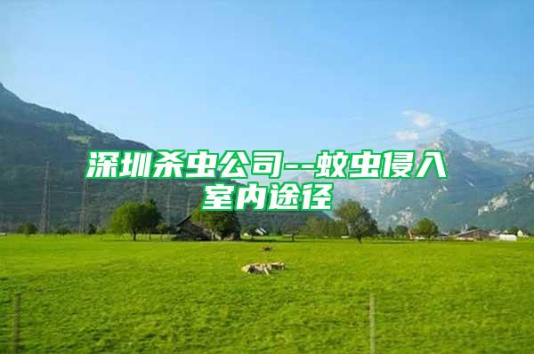 深圳殺蟲(chóng)公司--蚊蟲(chóng)侵入室內(nèi)途徑