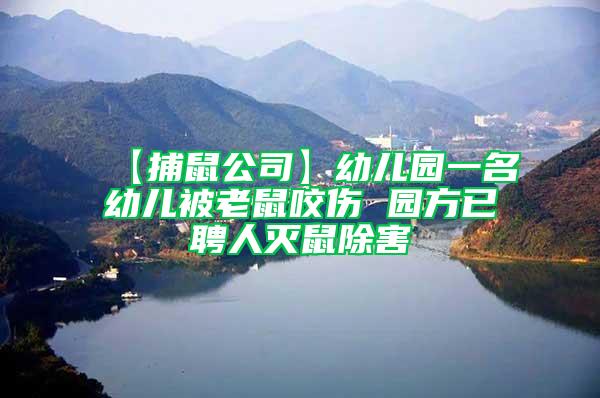 【捕鼠公司】幼兒園一名幼兒被老鼠咬傷 園方已聘人滅鼠除害