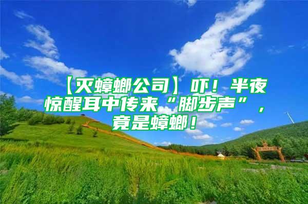 【滅蟑螂公司】嚇！半夜驚醒耳中傳來“腳步聲”，竟是蟑螂！