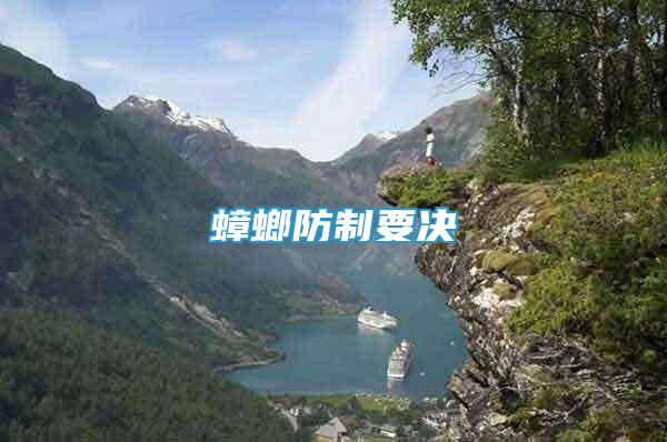 蟑螂防制要決