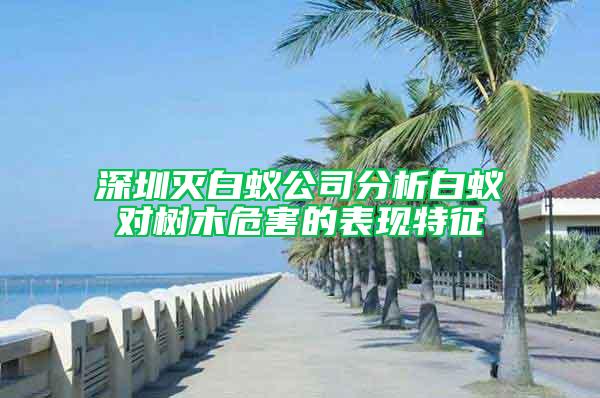 深圳滅白蟻公司分析白蟻對(duì)樹木危害的表現(xiàn)特征
