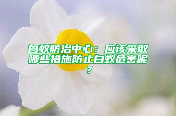 白蟻防治中心：應該采取哪些措施防止白蟻危害呢？