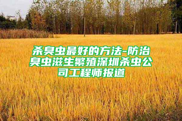 殺臭蟲最好的方法-防治臭蟲滋生繁殖深圳殺蟲公司工程師報(bào)道