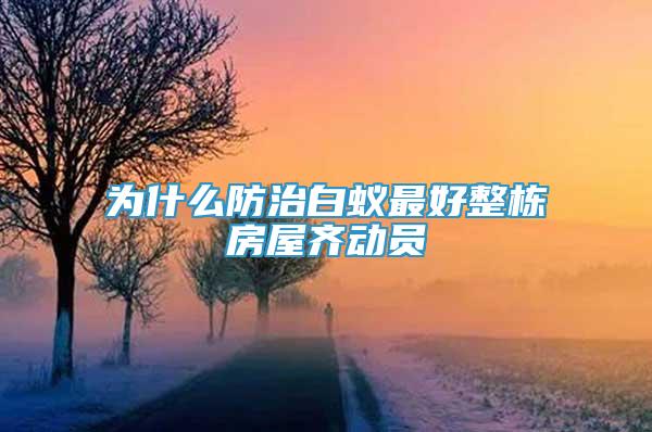 為什么防治白蟻最好整棟房屋齊動員
