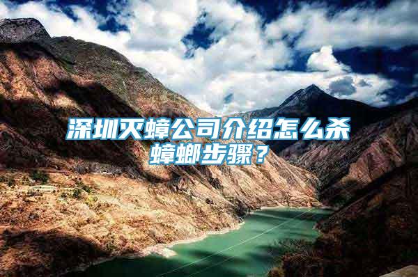 深圳滅蟑公司介紹怎么殺蟑螂步驟？