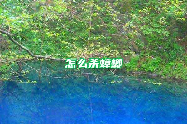 怎么殺蟑螂